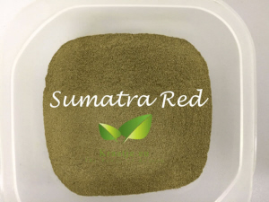 Poudre de kratom Sumatra rouge de Kraatje