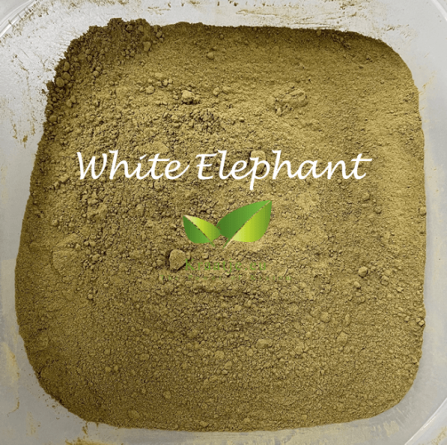 White Elephant