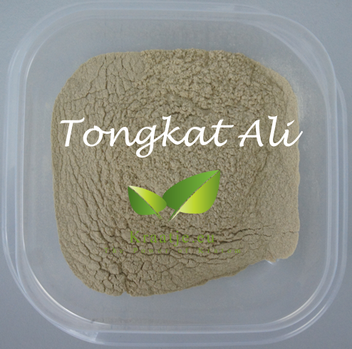 Tongkat Ali polvo