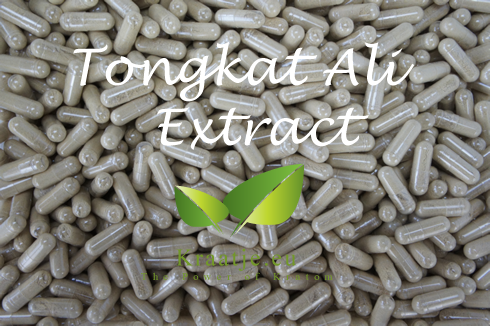 Tongkat Ali extract capsules