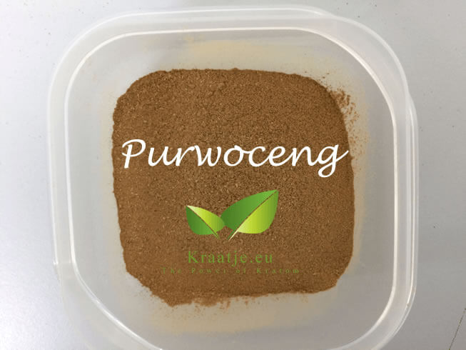 Acheter Purwoceng