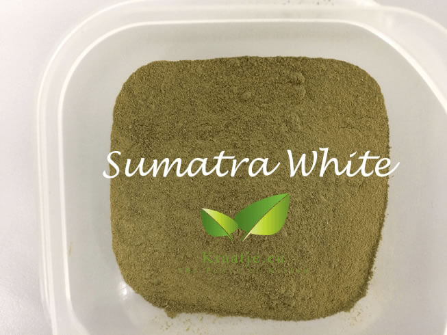 Poudre de kratom Sumatra blanc de Kraatje