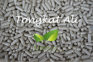 tongkat ali capsules