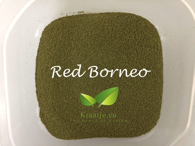 Red Borneo Bali
