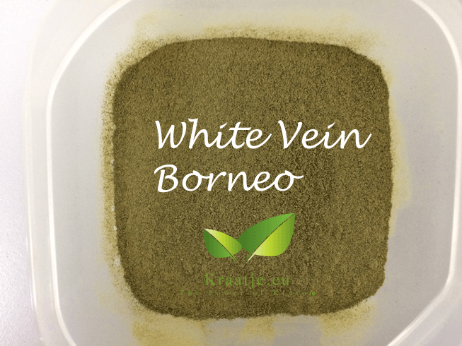 Borneo White Vein
